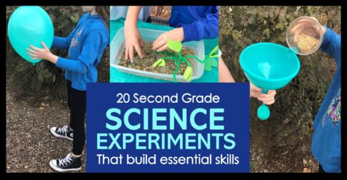 Second grade students doing seed dispersla and plant adaptations science experiments