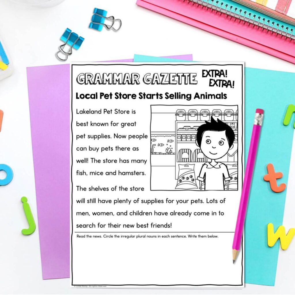 2nd grade irregular plural nouns reading passage