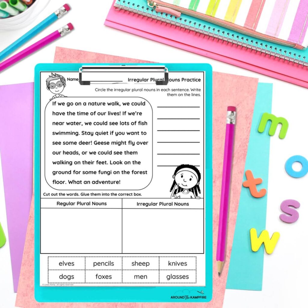 2nd grade irregular plural nouns worksheet