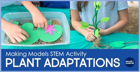 Plants STEM Activities