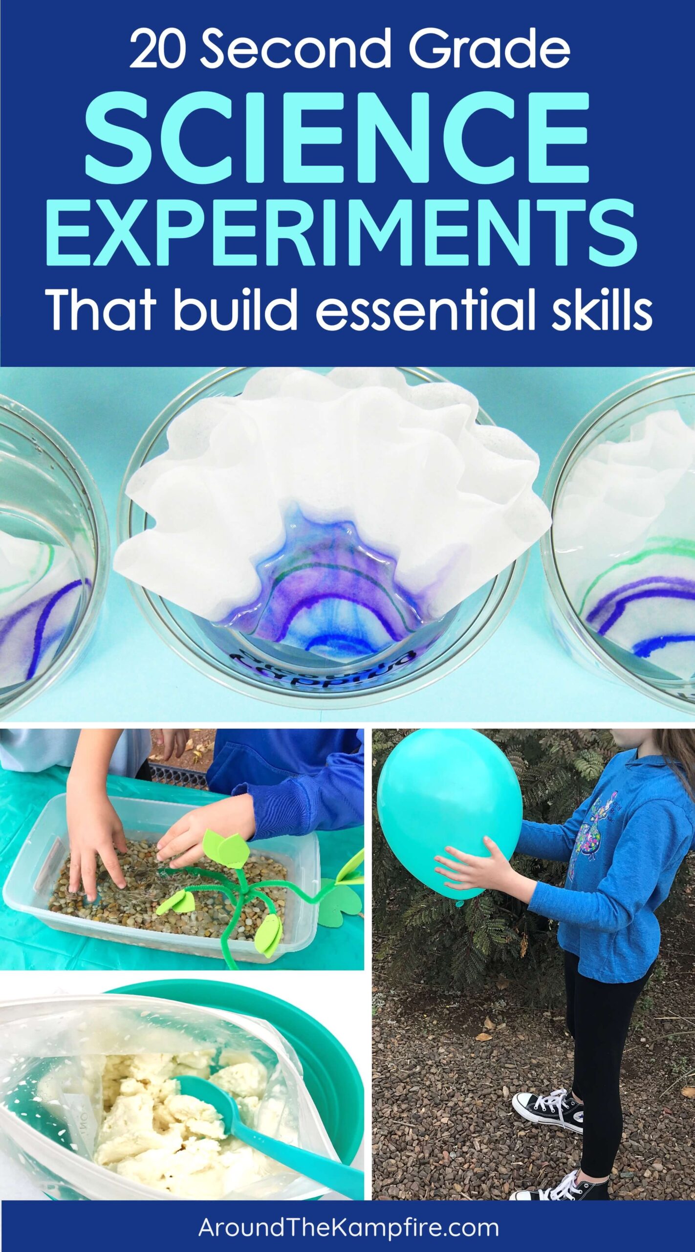 Plant life cycle activities for kids-Hands on science activities perfect for 1st, 2nd, and 3rd grade students to learn about plant needs, adaptations, photosynthesis, pollination and more.
