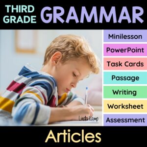articles activities 3rd grade grammar unit