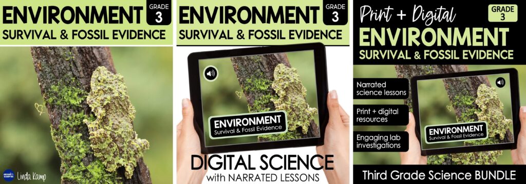 3rd grade Environments, survival and fossil evidence science unit.