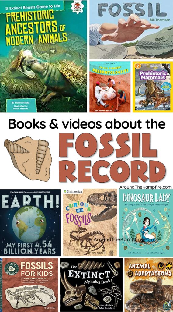books about the fossil record 3rd grade