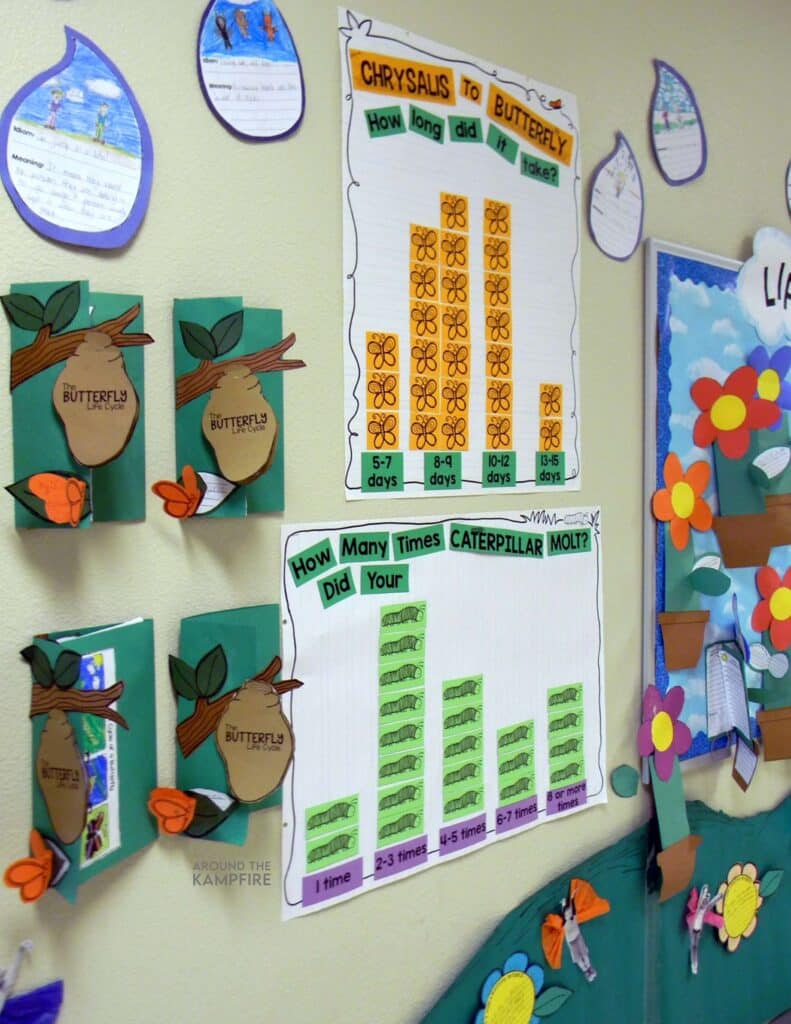 Butterfly life cycle graphs