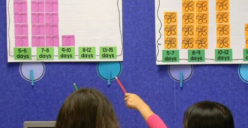 Butterfly life cycle activities with Butterfly Math- Graphing the life cycle