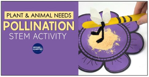 cheese powder pollination STEM activity.