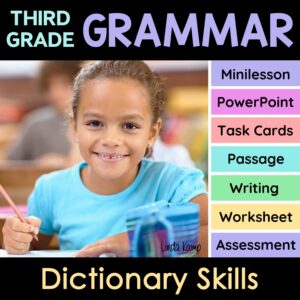 Dictionary skills activities for 3rd grade.