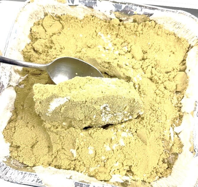 digging up fossilized sponge
