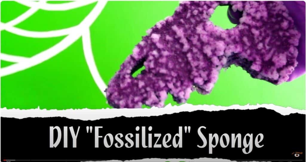 diy fossil sponge