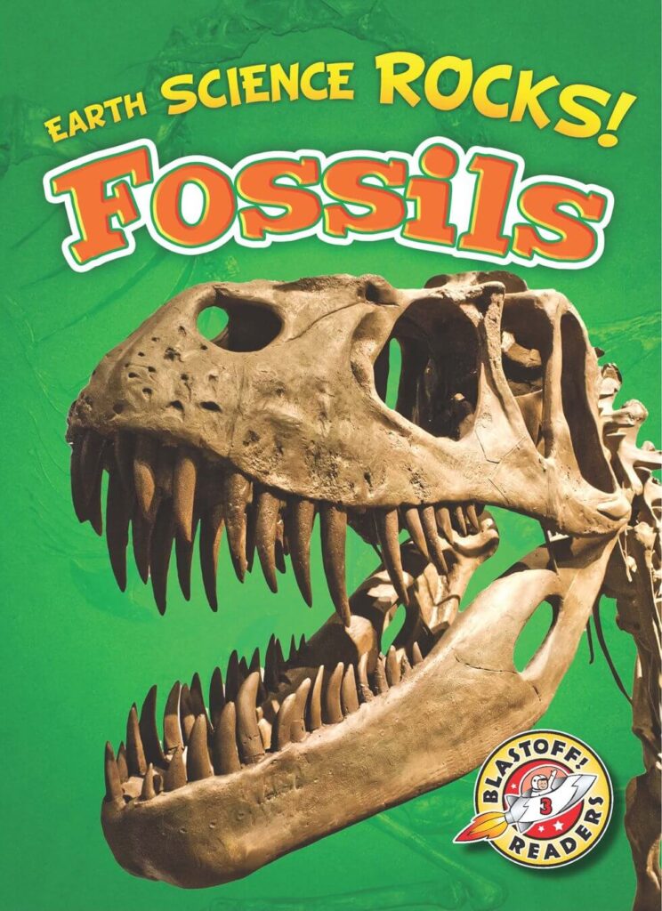 Earth Science Rocks Fossils