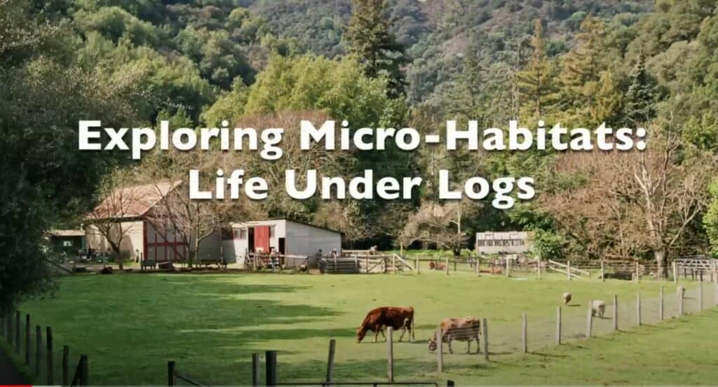exploring micro habitats