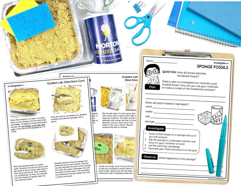 fossil experiment for 3rd grade lab directions