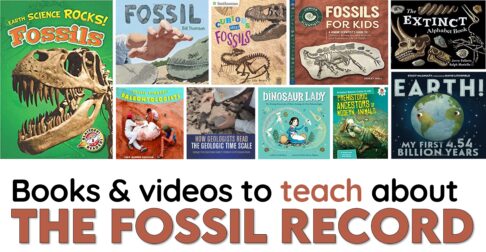 Books about fossil evidence for third grade.