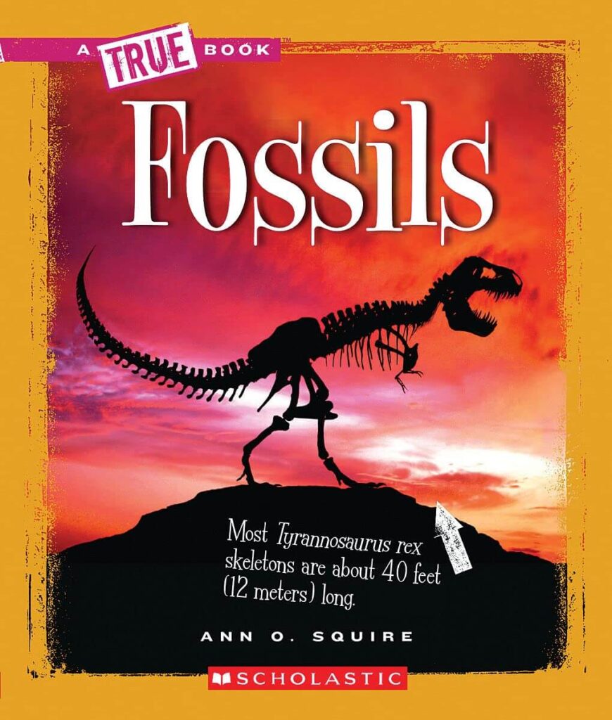 Fossils book