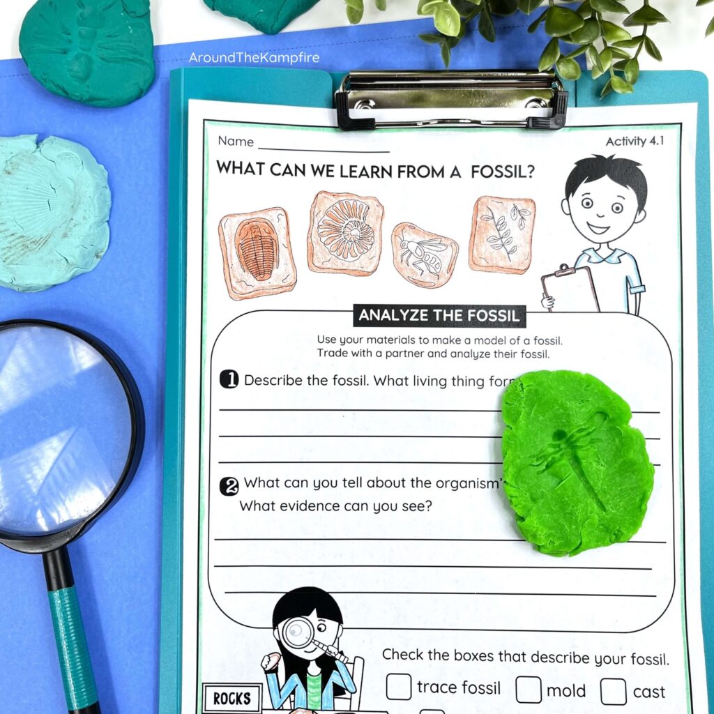 What can we learn from a fossil experiment recording sheet.