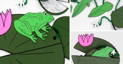 Frog life cycle craft.