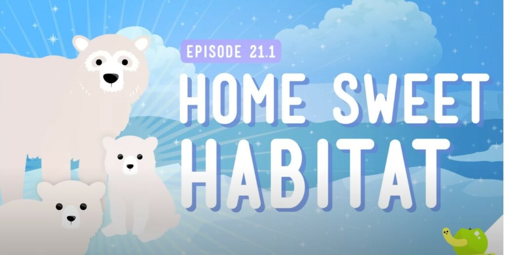 habitats video