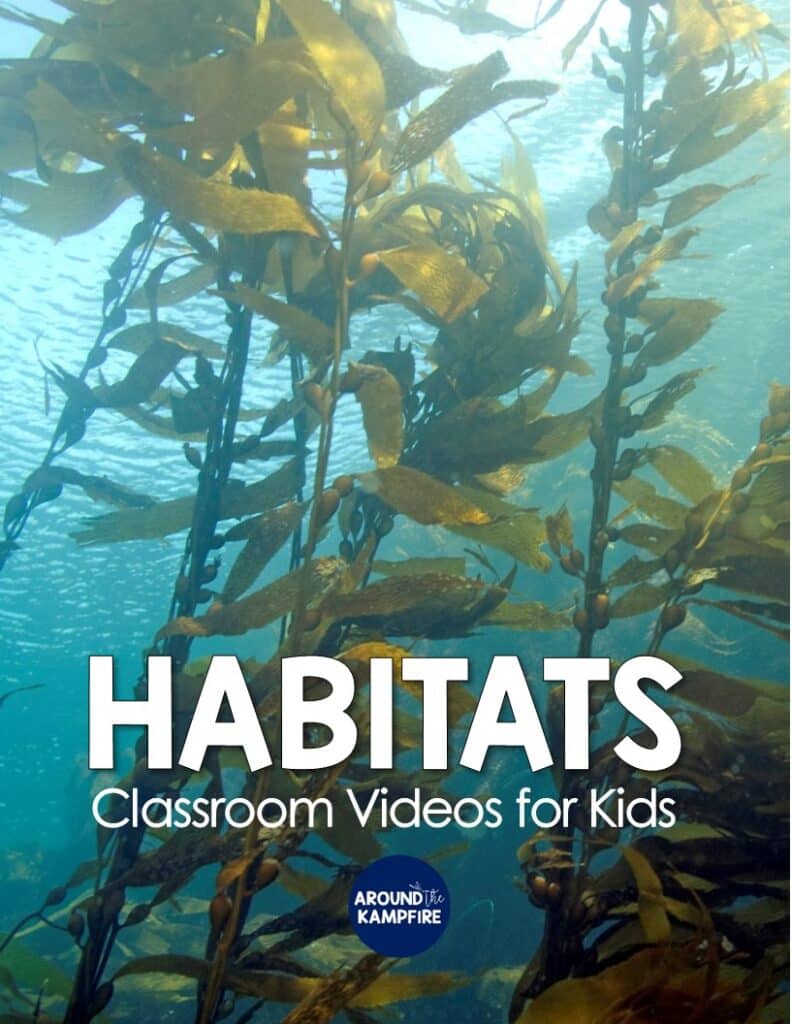 list of videos about habitats and ecosystems