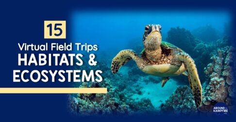 habitat virtual field trips