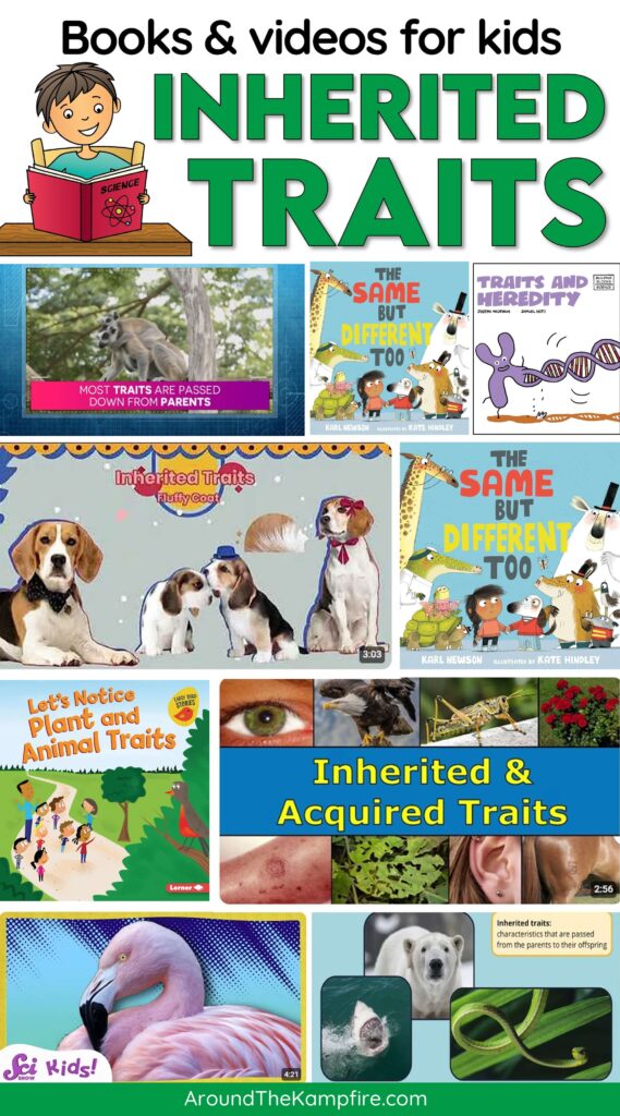 Books about inherited traits and variations for kids in 3rd grade science