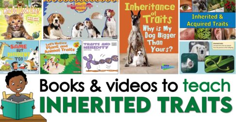 Books about inherited traits and variations for kids in 3rd grade science.