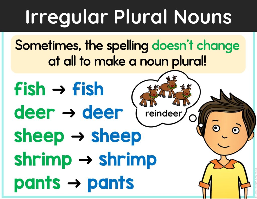 irregular plural noun rules poster
