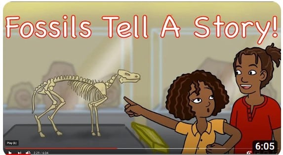 L5 Fossils tell a story