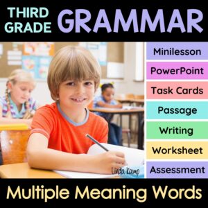 Multiple meaning words activities for 3rd grade grammar.