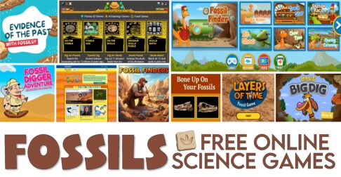 Free online fossil evidence games for kids.
