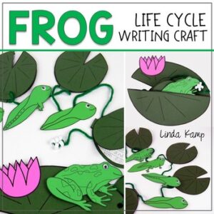 Frog life cycle craft