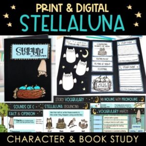 Stellaluna Activities