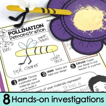8 Hands-on investigations for plant and animal interdependence 2nd grade science showing a pollination demonstration.