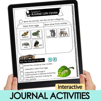 Plant and Animal Interdependence digital activities