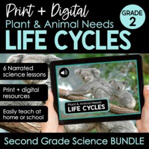 Plant and animal needs, interdependence science unit