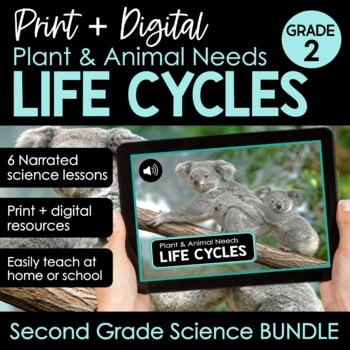 Plant and animal needs, interdependence science unit