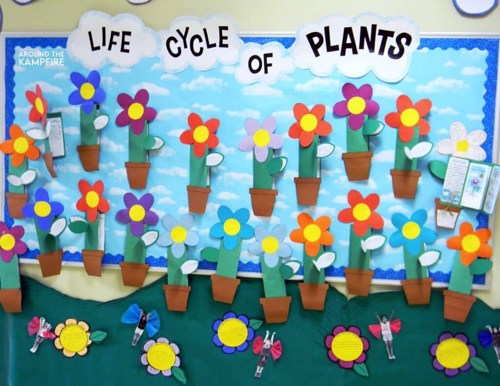Plant life cycle booklets Spring bulletin board idea