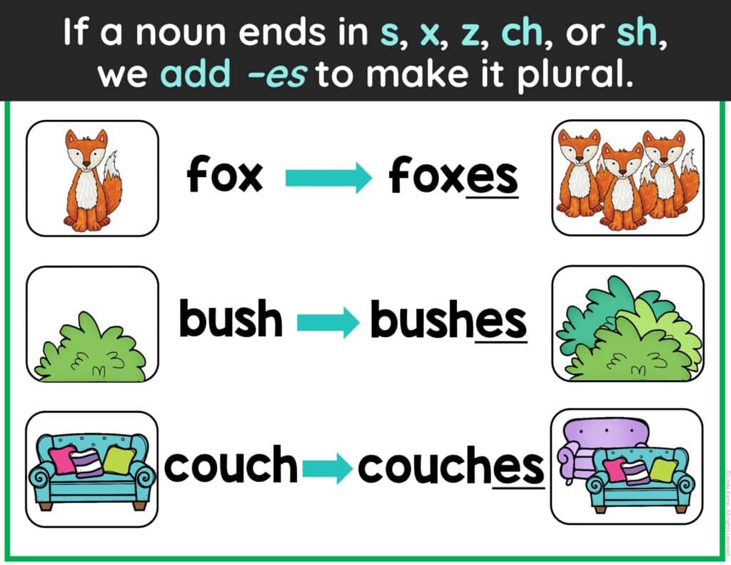 plural nouns rules poster add-es