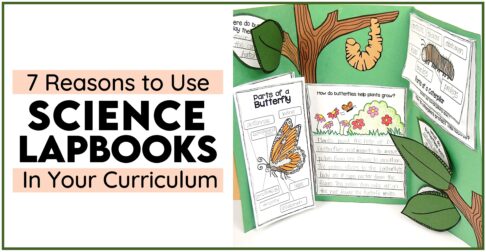 butterfly life cycle science lapbook