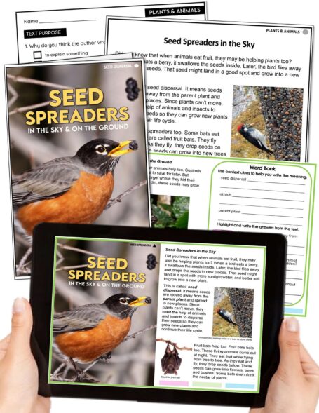 Picture of a robin on branch holding a seed on the cover of a booklet with worksheets