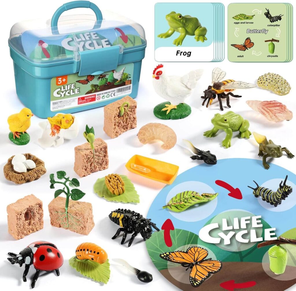life cycle kit. 
