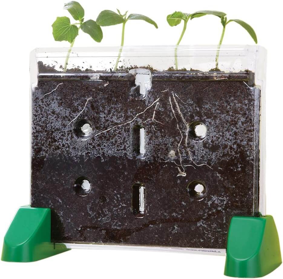 sprout and grow window plant growing kit. 