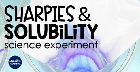 Sharpie solubility science experiment with coffee filter and dissolving ink