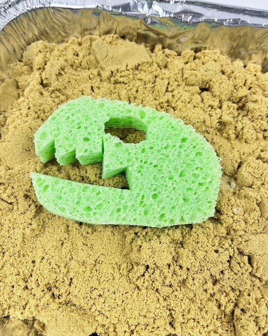 sponge in sand