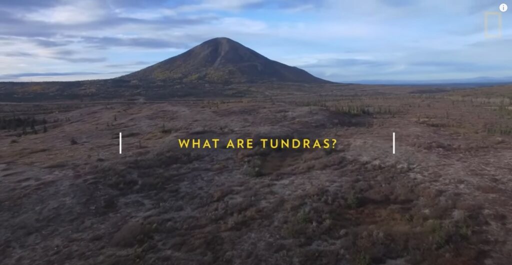what is a tundra habitats video
