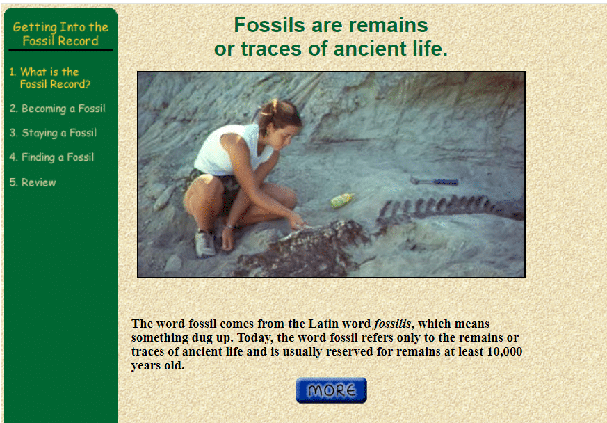 Online paleontology science games for kids